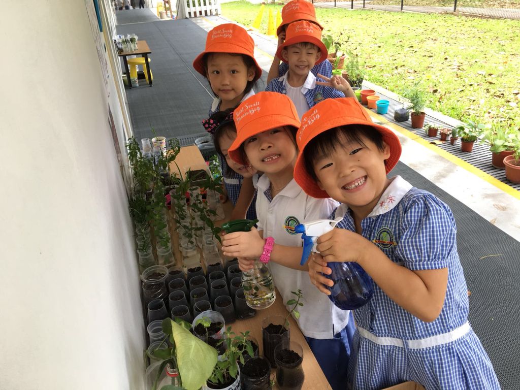 Nurturing Our love for Nature — photo 1