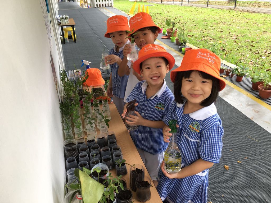 Nurturing Our love for Nature — photo 2