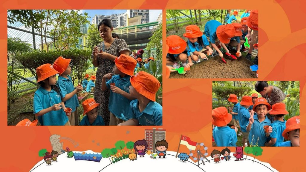 SSDB 2025: Seeds of Labour! - Community Garden Project by MK@Greendale — photo 1