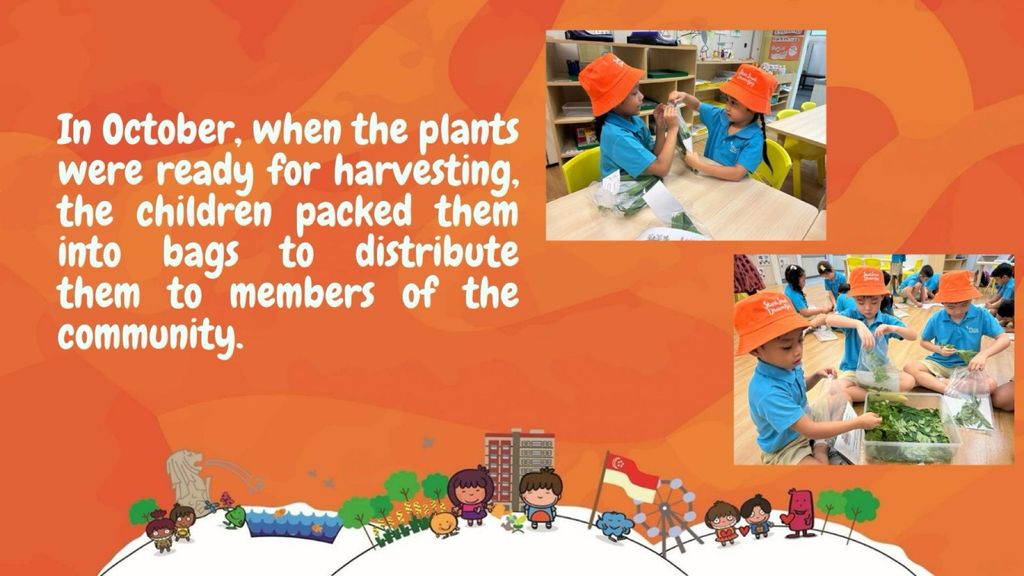 SSDB 2025: Seeds of Labour! - Community Garden Project by MK@Greendale — photo 2