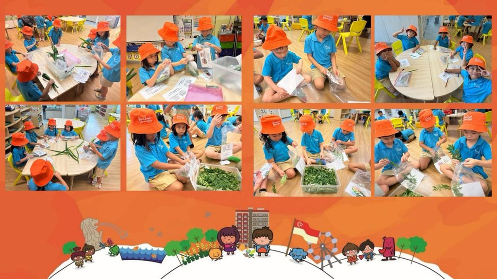 SSDB 2025: Seeds of Labour! - Community Garden Project by MK@Greendale — photo 3