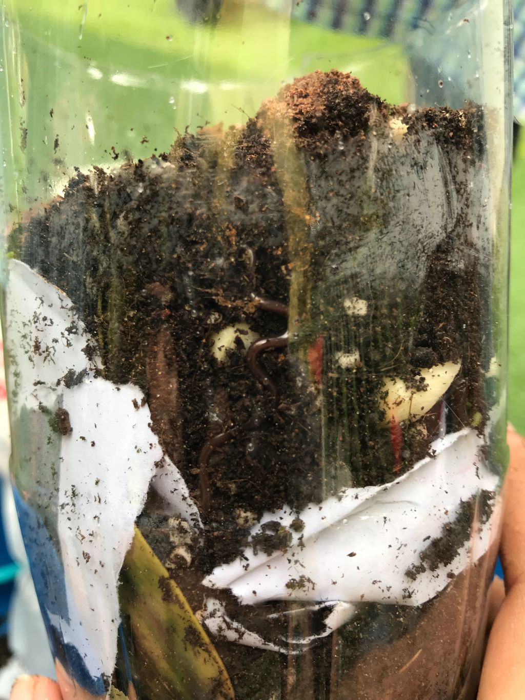 Superheroes Caring For The Environment: Composting — photo 4
