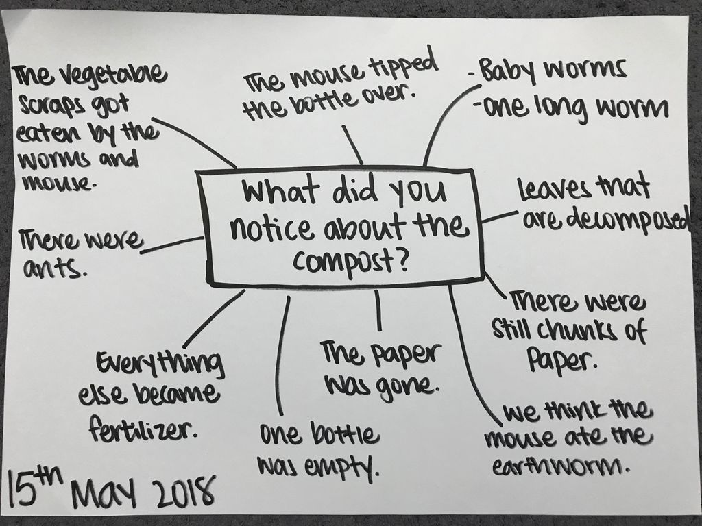 Superheroes Caring For The Environment: Composting — photo 1