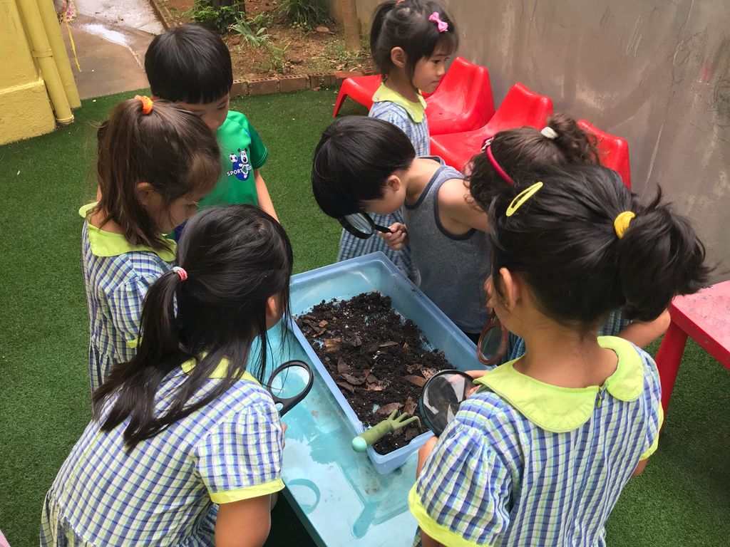 Superheroes Caring For The Environment: Composting — photo 3