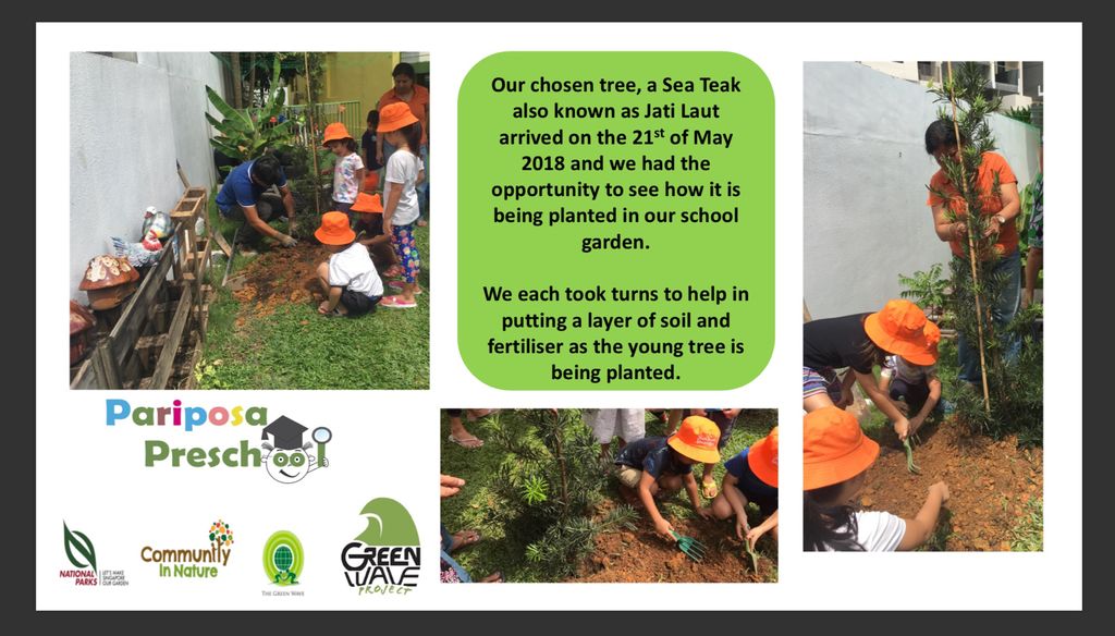 Superheroes Caring For The Environment: Green wave project