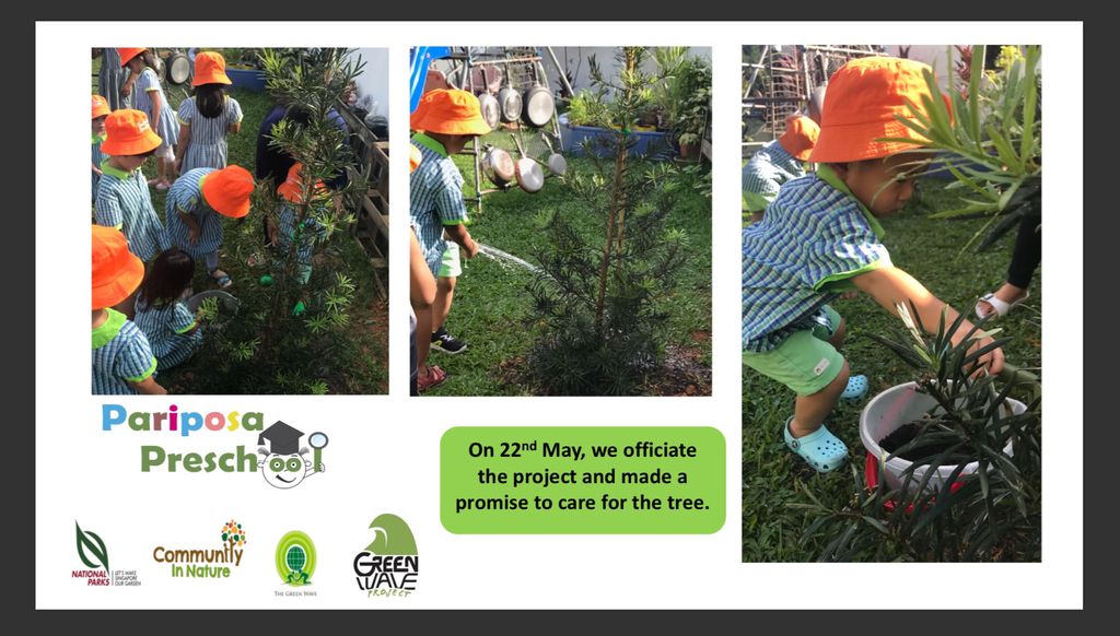Superheroes Caring For The Environment: Green wave project — photo 3