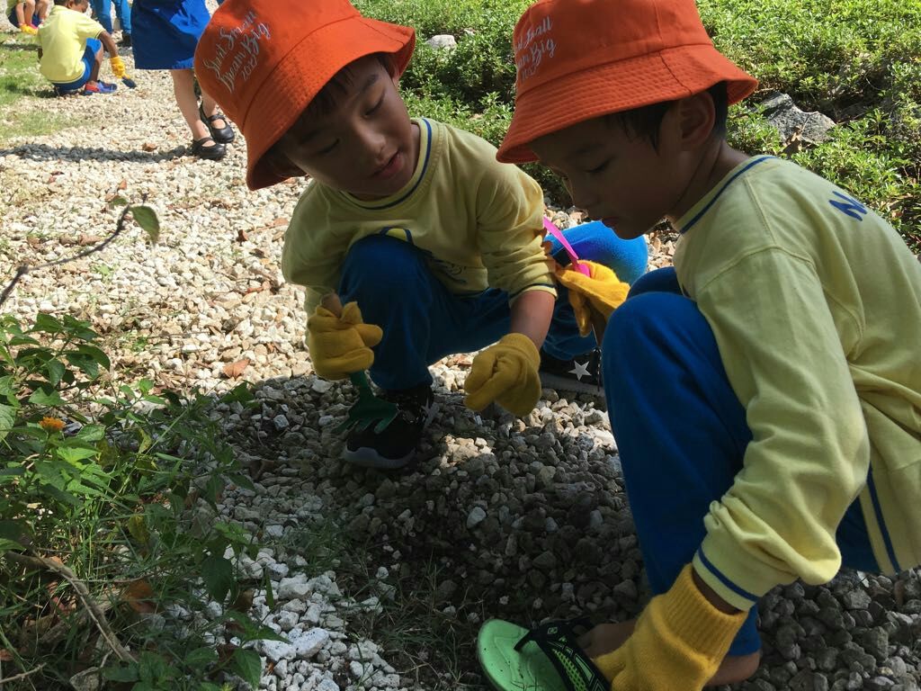 NurtureStars Punggol is who we are & Nature-loving is what we are! — photo 2