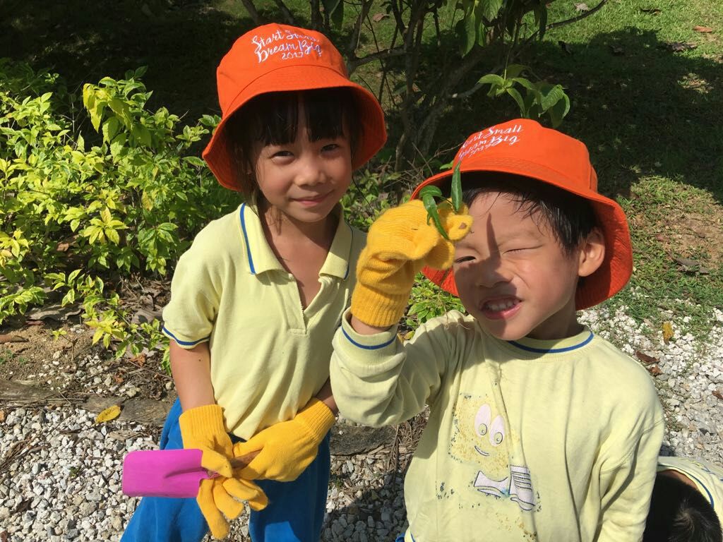 NurtureStars Punggol is who we are & Nature-loving is what we are! — photo 3