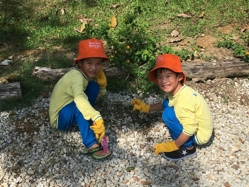 NurtureStars Punggol is who we are & Nature-loving is what we are! — photo 4