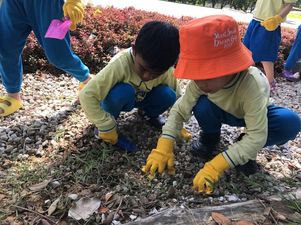 NurtureStars Punggol is who we are & Nature-loving is what we are! — photo 7
