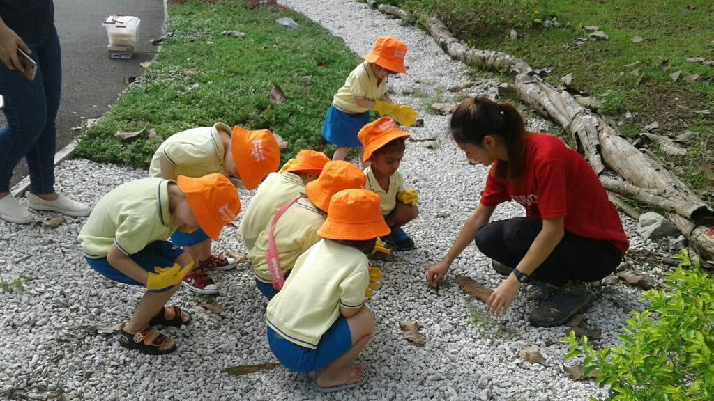 NurtureStars Punggol is who we are & Nature-loving is what we are! — photo 8