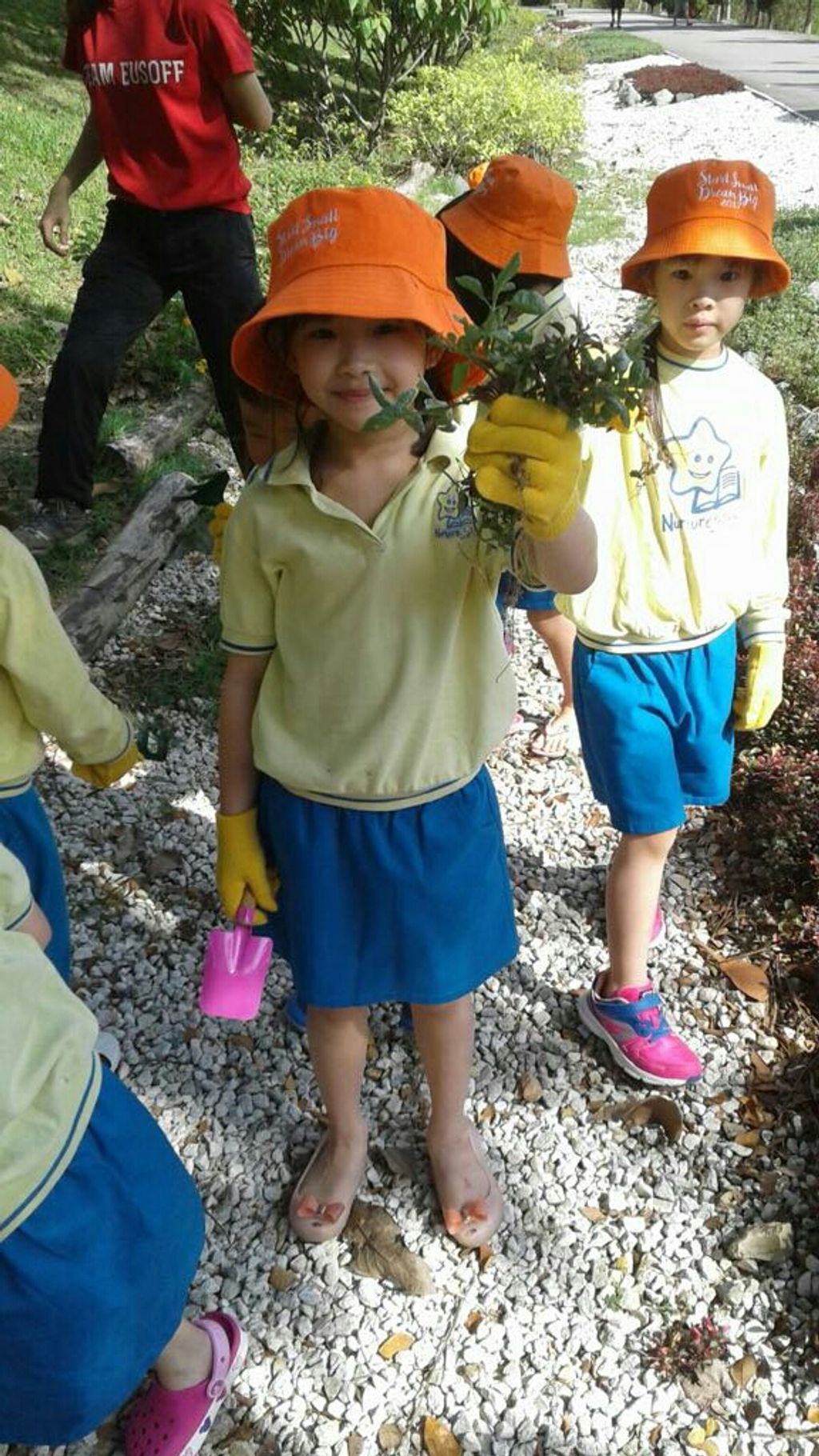 NurtureStars Punggol is who we are & Nature-loving is what we are! — photo 9