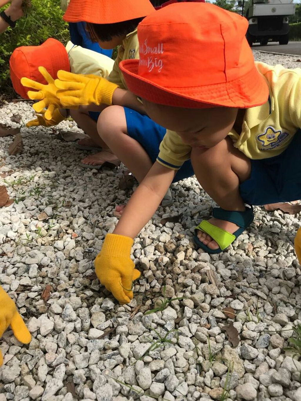 NurtureStars Punggol is who we are & Nature-loving is what we are! — photo 13