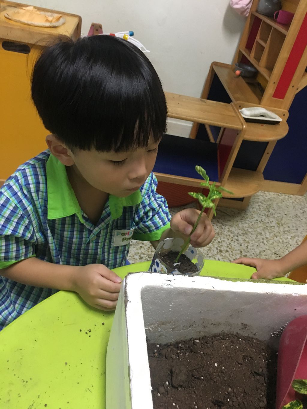 Superheroes Caring For The Environment: CIB workshops — photo 8