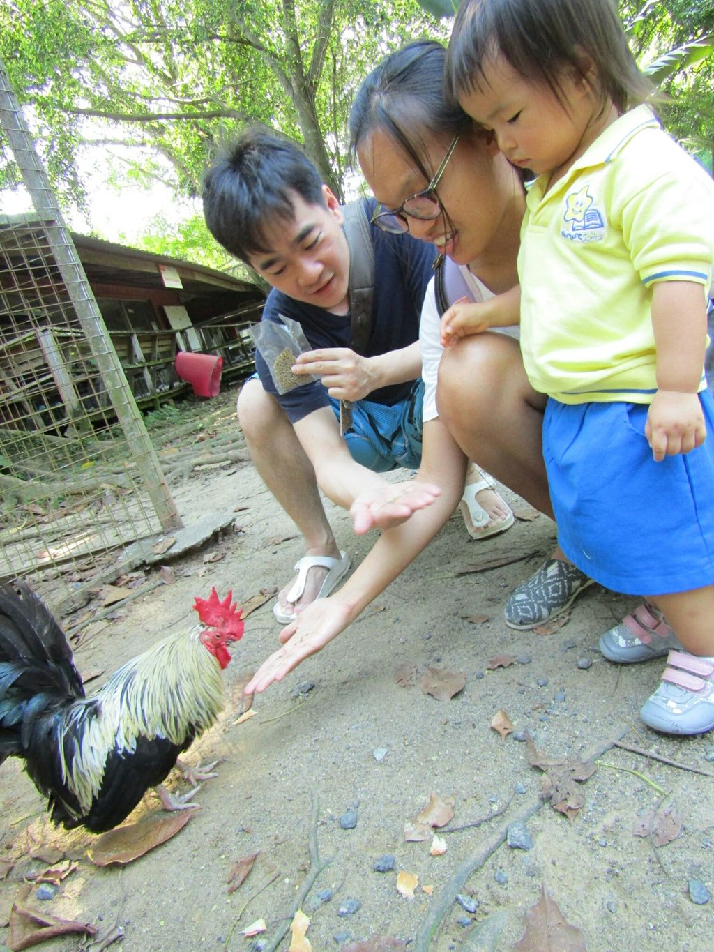Mama, Papa, Ah Kong, Ah Ma, Animals and I! NurtureStars Punggol's Pre Nursery 1s' Learning Journey to the Animal Resort to promote inter-generational family bonding and love for animals! — photo 1