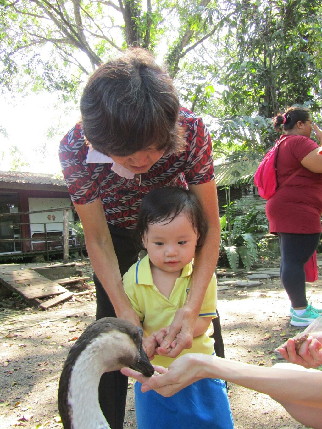 Mama, Papa, Ah Kong, Ah Ma, Animals and I! NurtureStars Punggol's Pre Nursery 1s' Learning Journey to the Animal Resort to promote inter-generational family bonding and love for animals! — photo 2