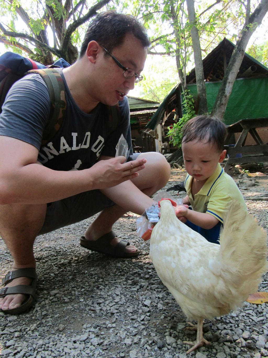 Mama, Papa, Ah Kong, Ah Ma, Animals and I! NurtureStars Punggol's Pre Nursery 1s' Learning Journey to the Animal Resort to promote inter-generational family bonding and love for animals! — photo 3