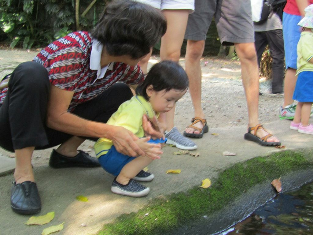 Mama, Papa, Ah Kong, Ah Ma, Animals and I! NurtureStars Punggol's Pre Nursery 1s' Learning Journey to the Animal Resort to promote inter-generational family bonding and love for animals! — photo 4