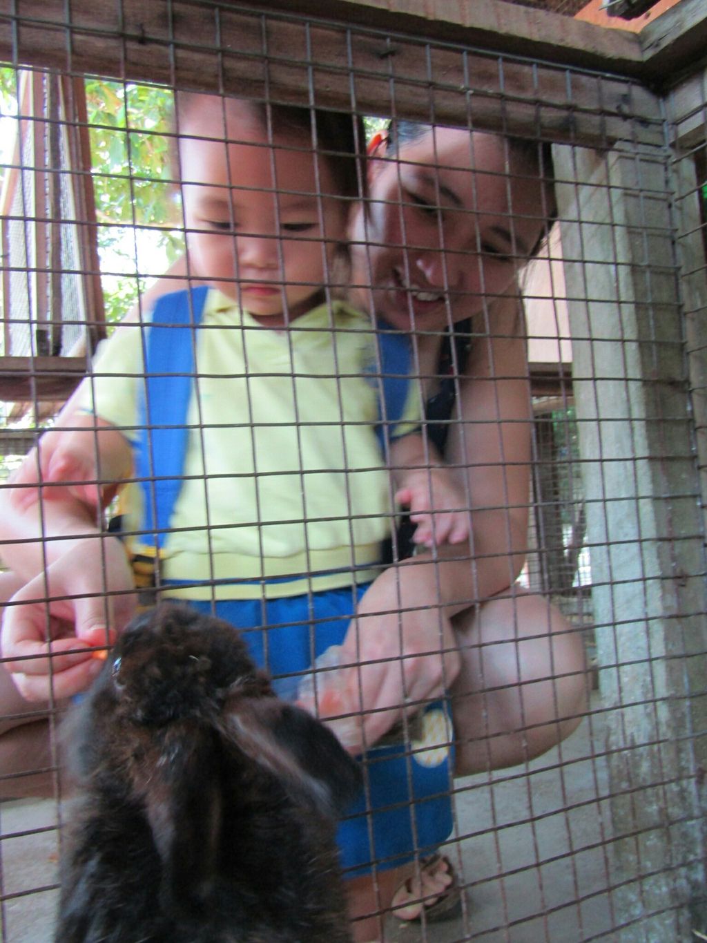 Mama, Papa, Ah Kong, Ah Ma, Animals and I! NurtureStars Punggol's Pre Nursery 1s' Learning Journey to the Animal Resort to promote inter-generational family bonding and love for animals! — photo 6