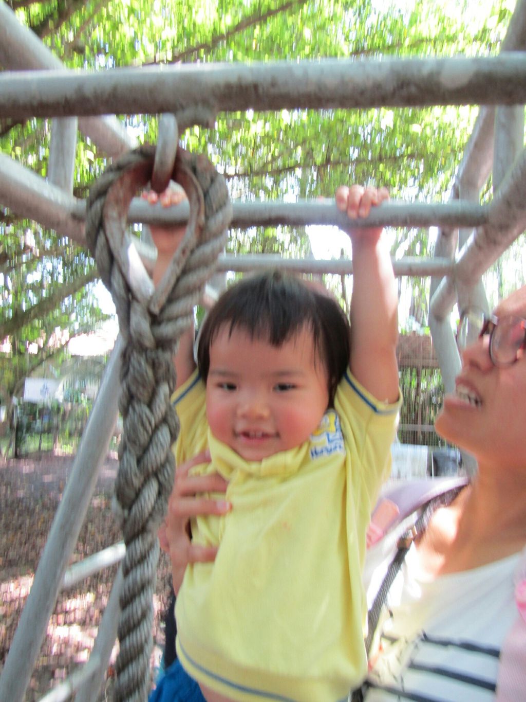 Mama, Papa, Ah Kong, Ah Ma, Animals and I! NurtureStars Punggol's Pre Nursery 1s' Learning Journey to the Animal Resort to promote inter-generational family bonding and love for animals! — photo 1