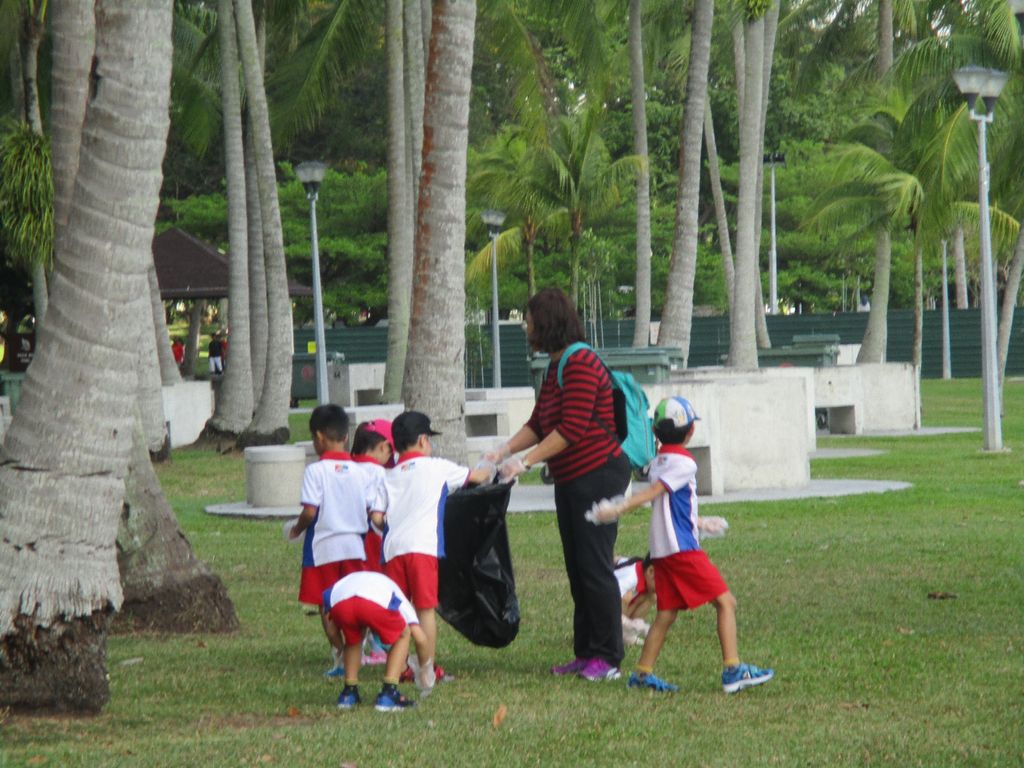 Love the trees , care for the environment