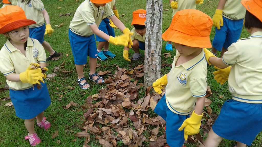 NurtureStars Punggol's Nursery students nurturing Punggol Waterway Park through mulching & weeding! — photo 1