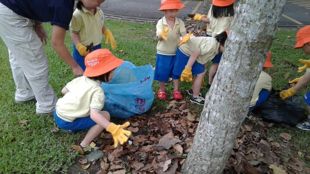 NurtureStars Punggol's Nursery students nurturing Punggol Waterway Park through mulching & weeding! — photo 3