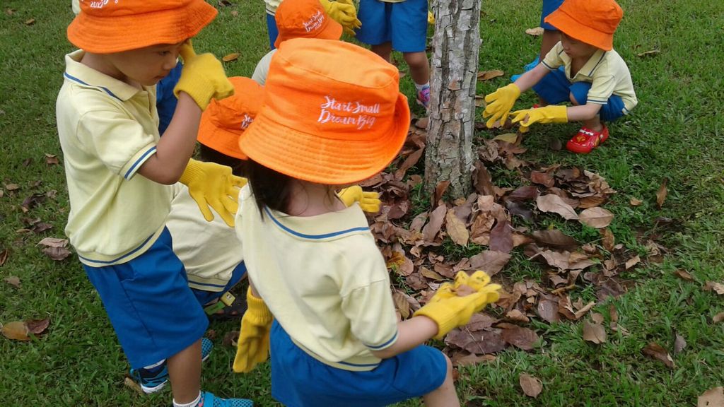 NurtureStars Punggol's Nursery students nurturing Punggol Waterway Park through mulching & weeding! — photo 4