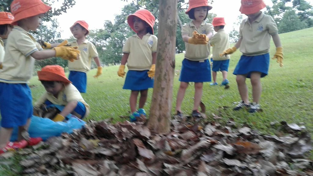 NurtureStars Punggol's Nursery students nurturing Punggol Waterway Park through mulching & weeding! — photo 3