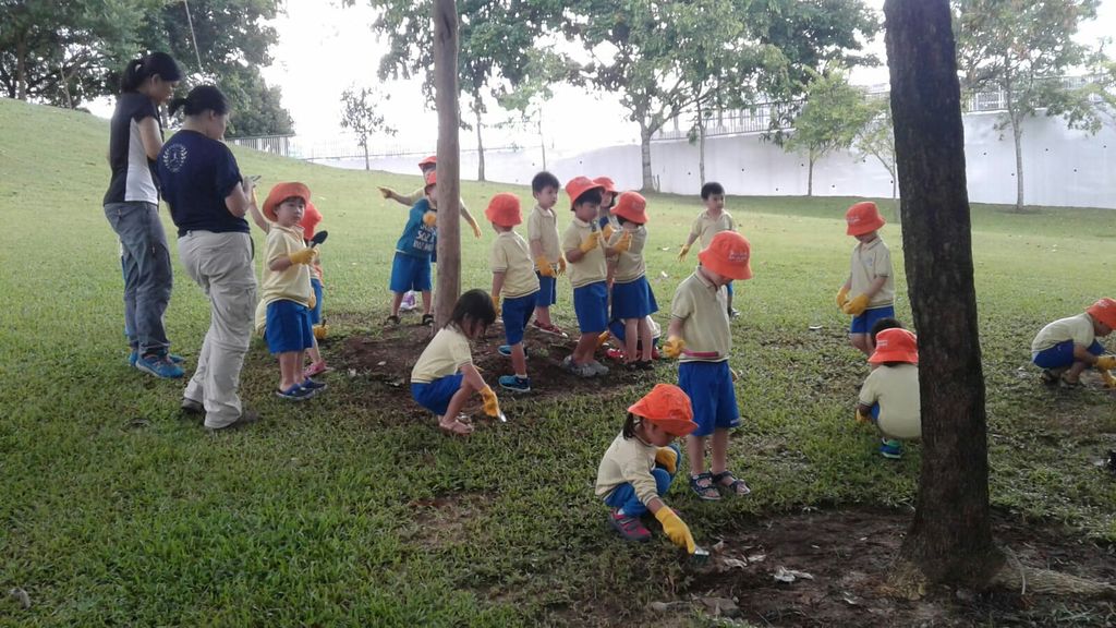 NurtureStars Punggol's Nursery students nurturing Punggol Waterway Park through mulching & weeding! — photo 1
