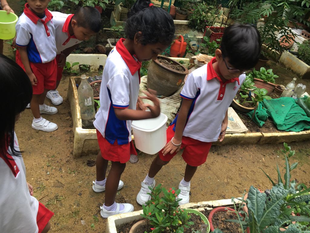 A Green Project- Little Hands of Love @PCF SPARKLETOTS KAMPONG CHAI CHEE 409 — photo 1