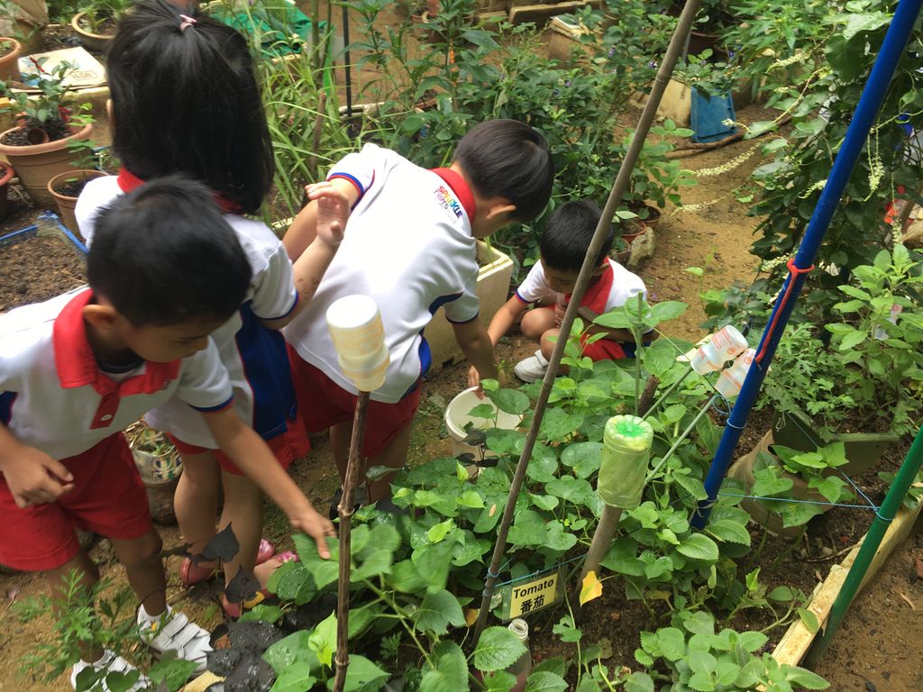 A Green Project- Little Hands of Love @PCF SPARKLETOTS KAMPONG CHAI CHEE 409 — photo 2