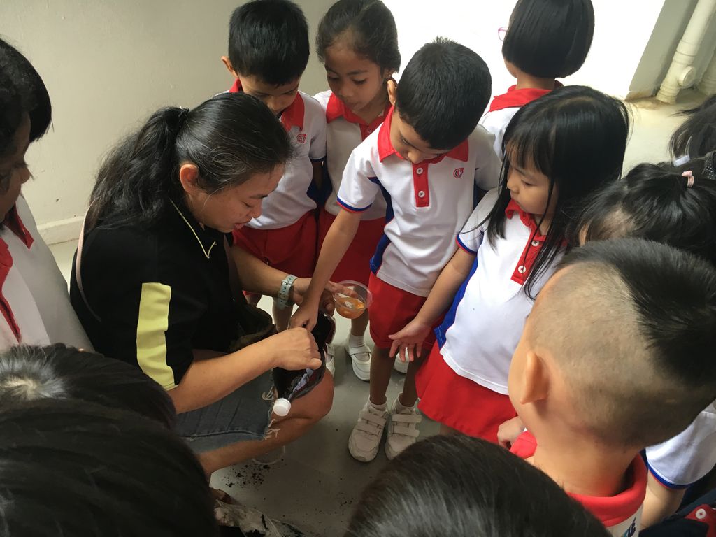 A Green Project- Little Hands of Love @PCF SPARKLETOTS KAMPONG CHAI CHEE 409 — photo 4
