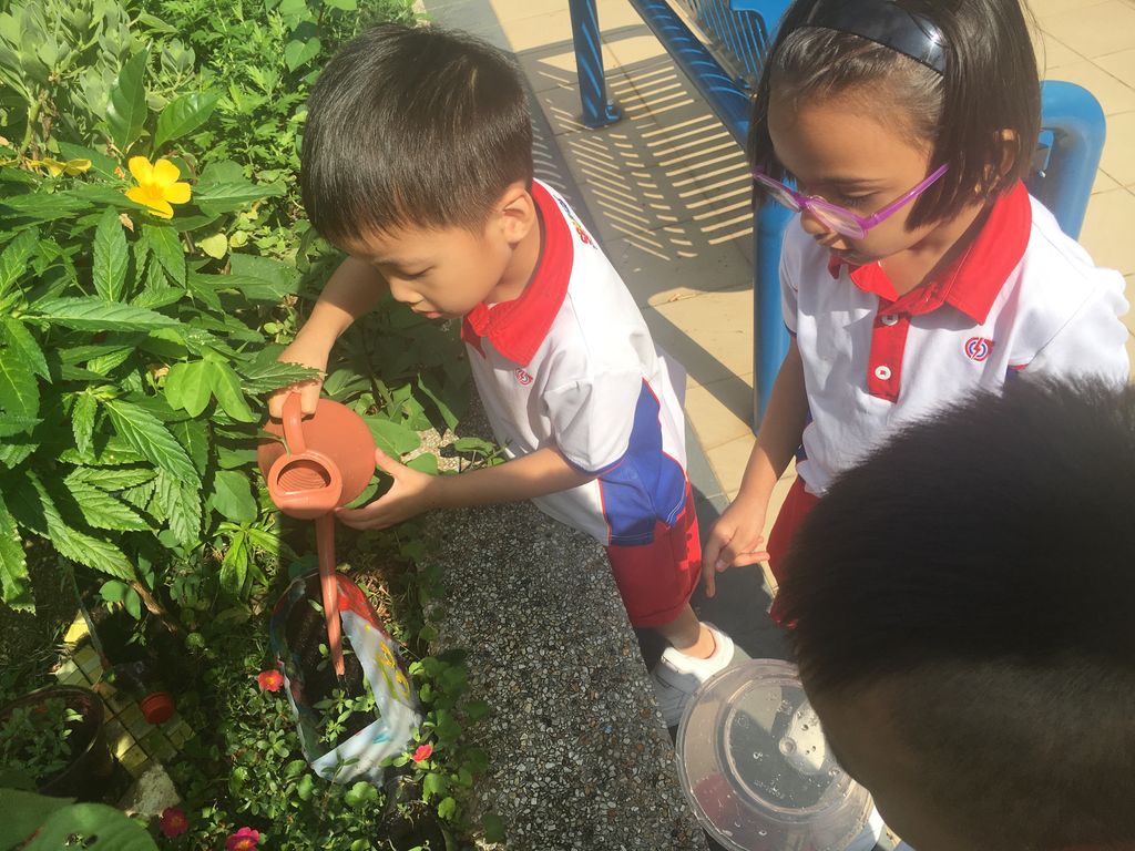 A Green Project- Little Hands of Love @PCF SPARKLETOTS KAMPONG CHAI CHEE 409 — photo 1