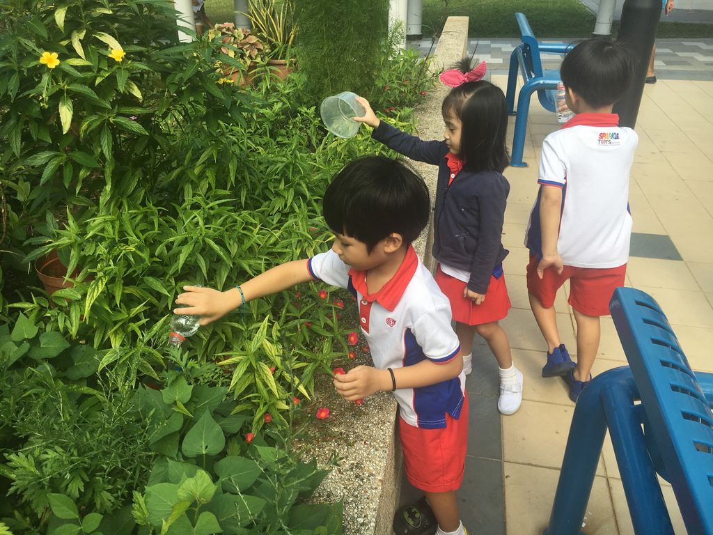 A Green Project- Little Hands of Love @PCF SPARKLETOTS KAMPONG CHAI CHEE 409 — photo 2