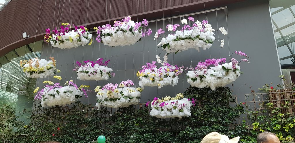 Garden Blooms.... @Gardens By the Bay. — photo 5