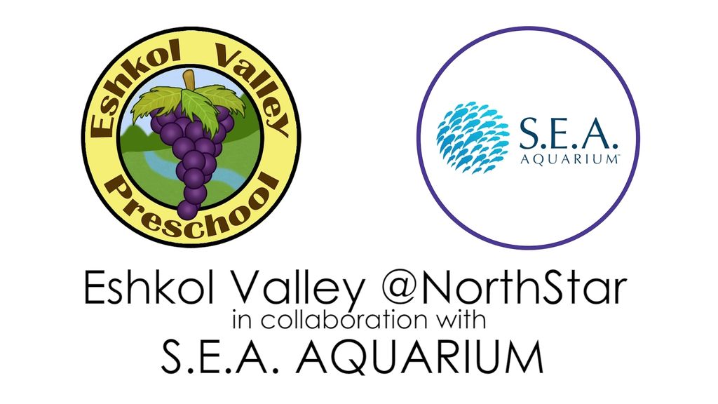 GUARDIANS OF THE SEA (In collaboration with S. E. A. Aquarium and Pasir ris park/beach cleaners)