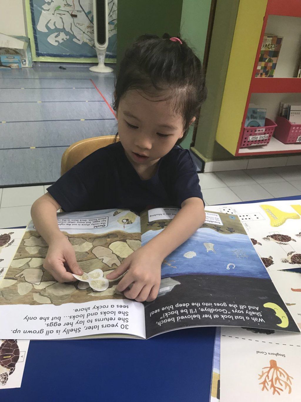 Care for Environment: Playtime with Shelly the Hawksbill Turtle