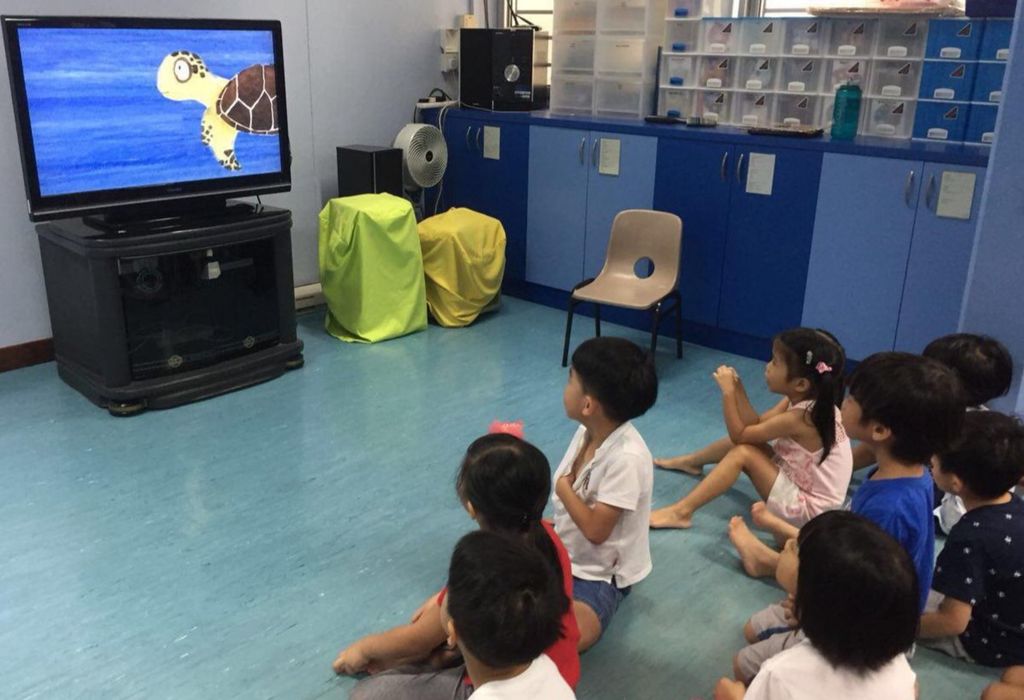 Care for Environment: Playtime with Shelly the Hawksbill Turtle — photo 3