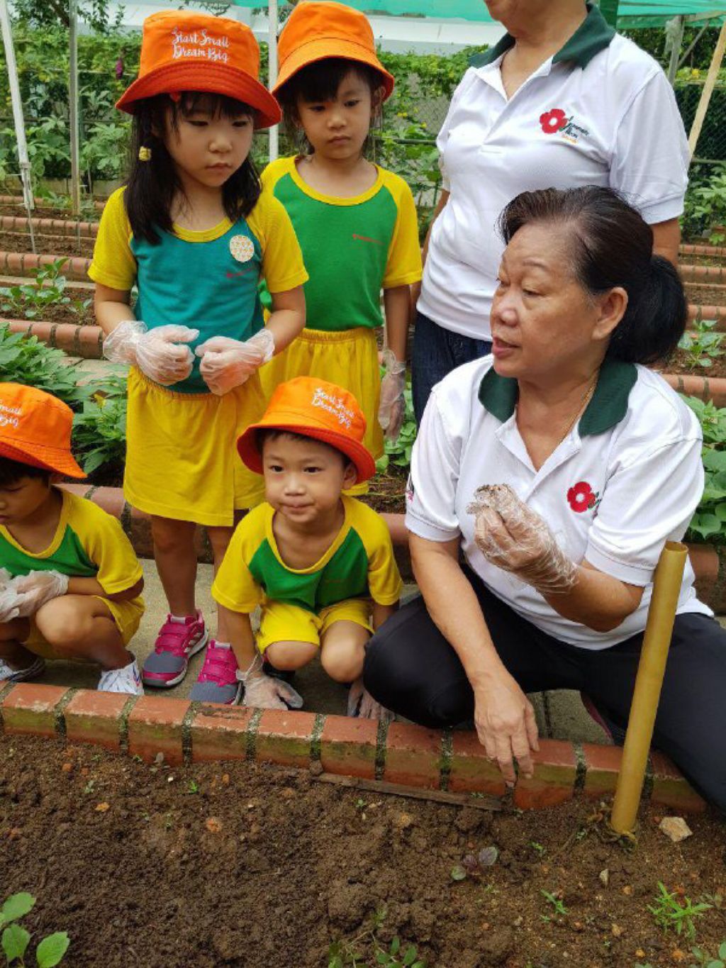 Care for Environment: Garden Experience at Wu Wo Yuan (无我苑)