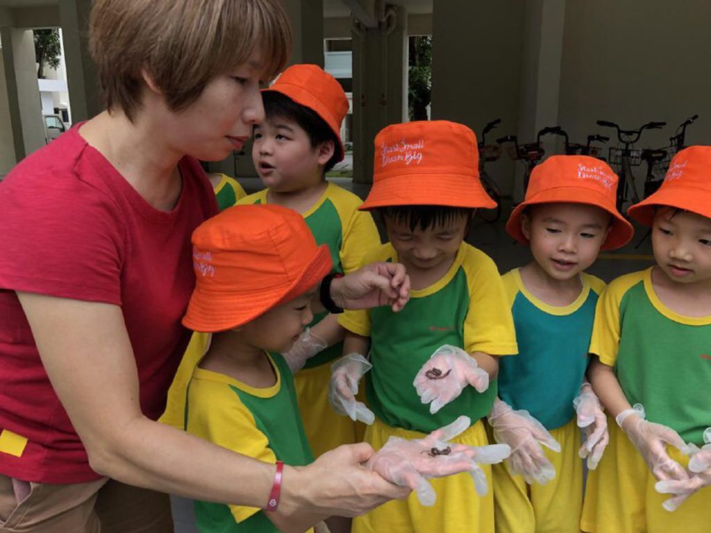 Care for Environment: Garden Experience at Wu Wo Yuan (无我苑) — photo 2