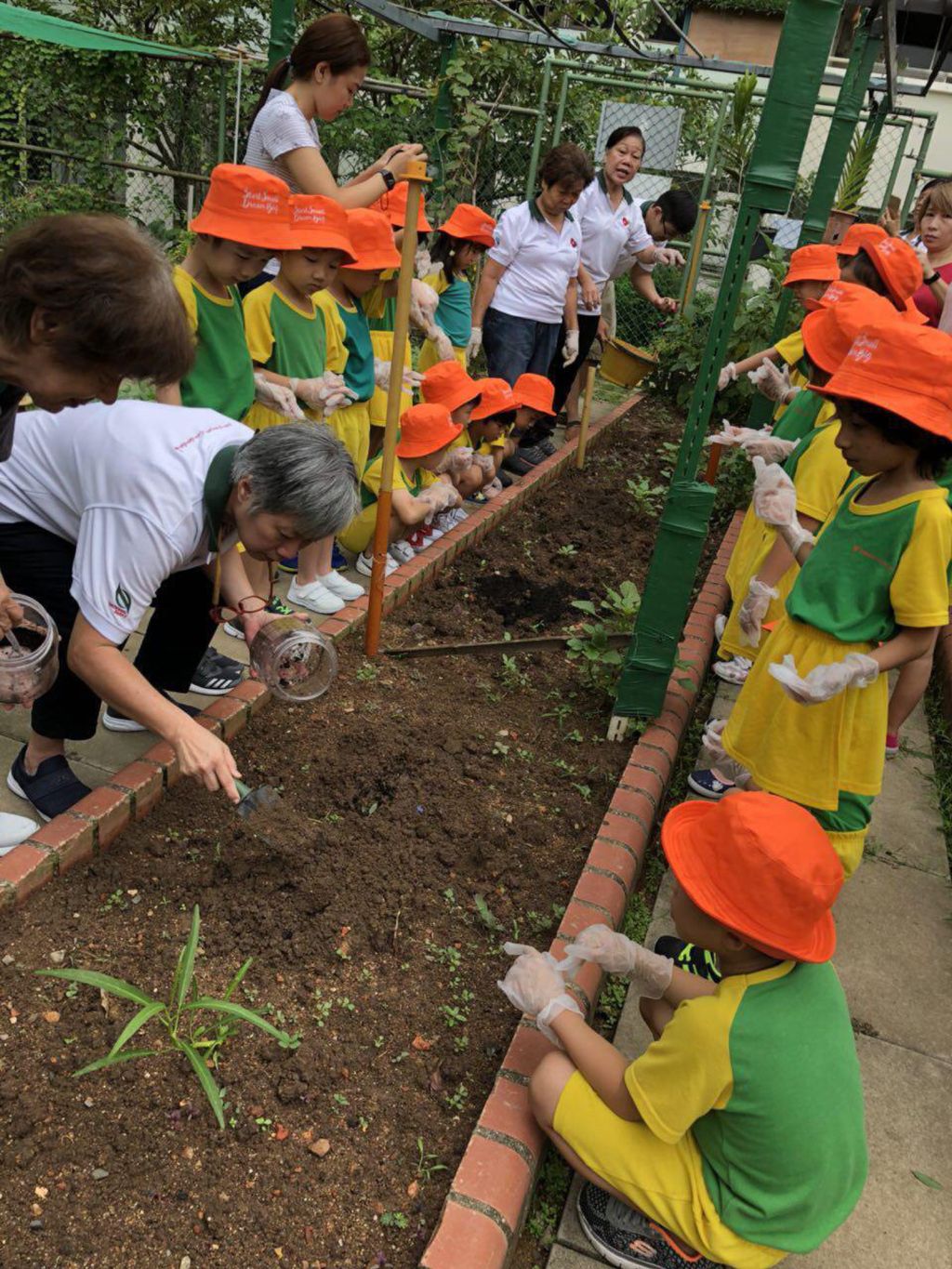 Care for Environment: Garden Experience at Wu Wo Yuan (无我苑) — photo 2