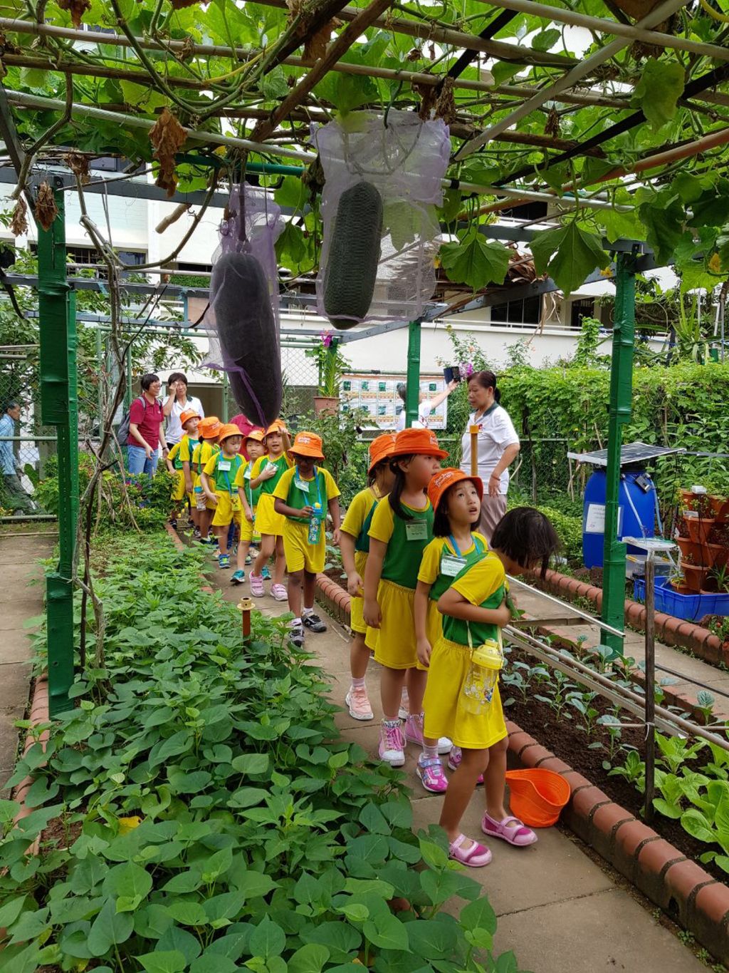 Care for Environment: Garden Experience at Wu Wo Yuan (无我苑) — photo 1