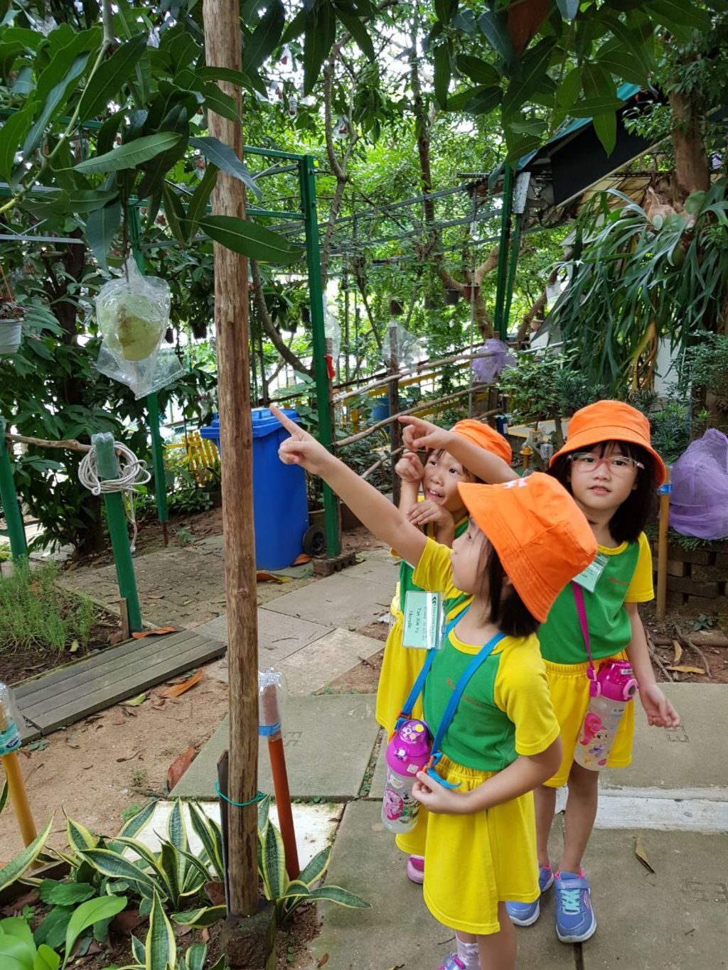 Care for Environment: Garden Experience at Wu Wo Yuan (无我苑) — photo 2
