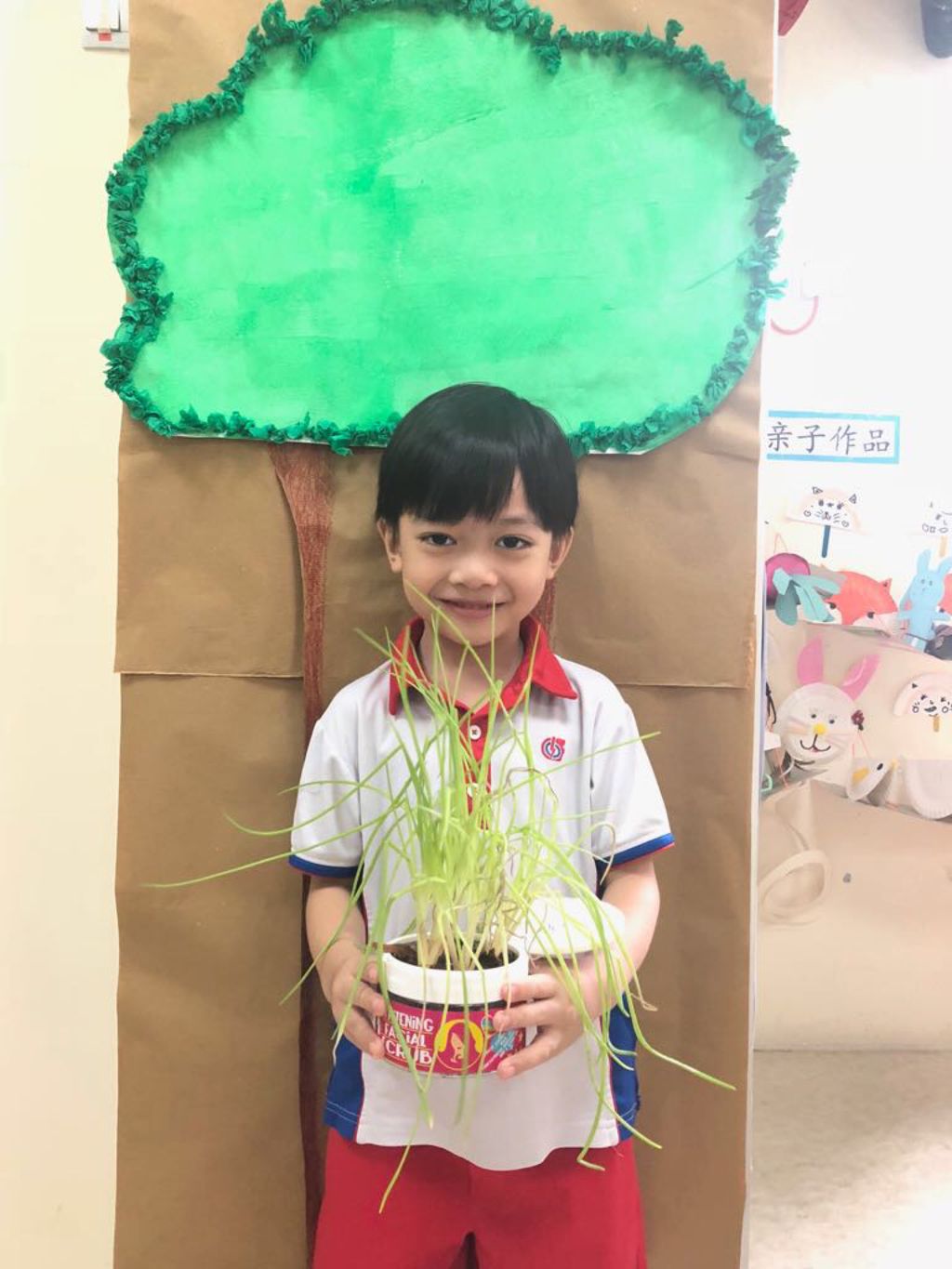 SSDB: Go Green and Save the Earth