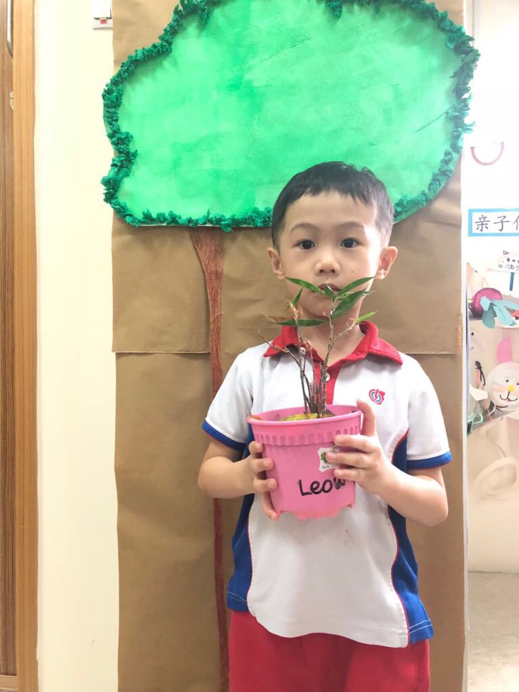 SSDB: Go Green and Save the Earth — photo 3