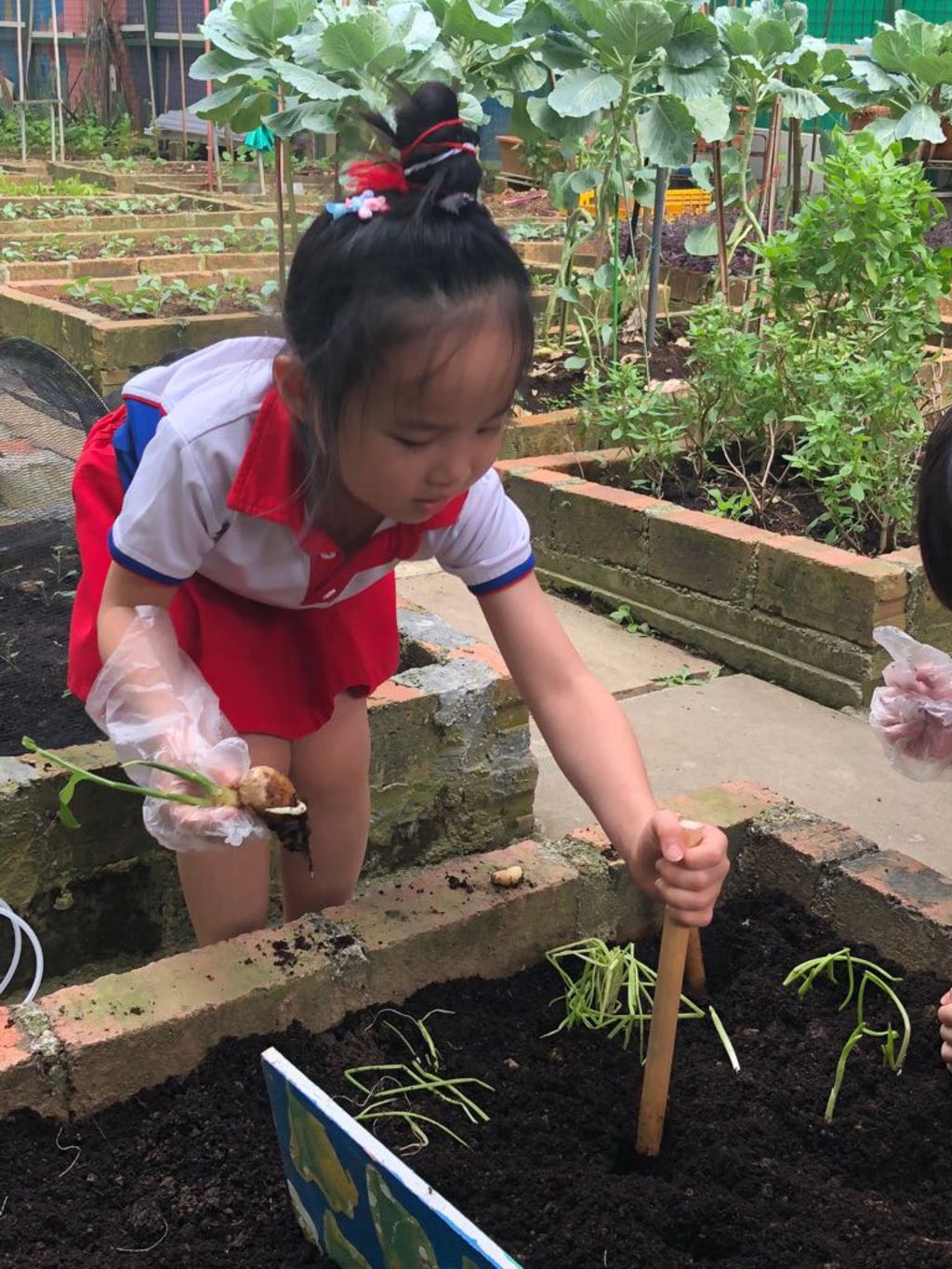SSDB: Go Green and Save the Earth — photo 4