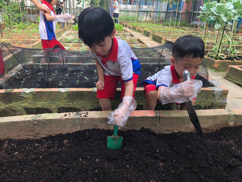 SSDB: Go Green and Save the Earth — photo 5