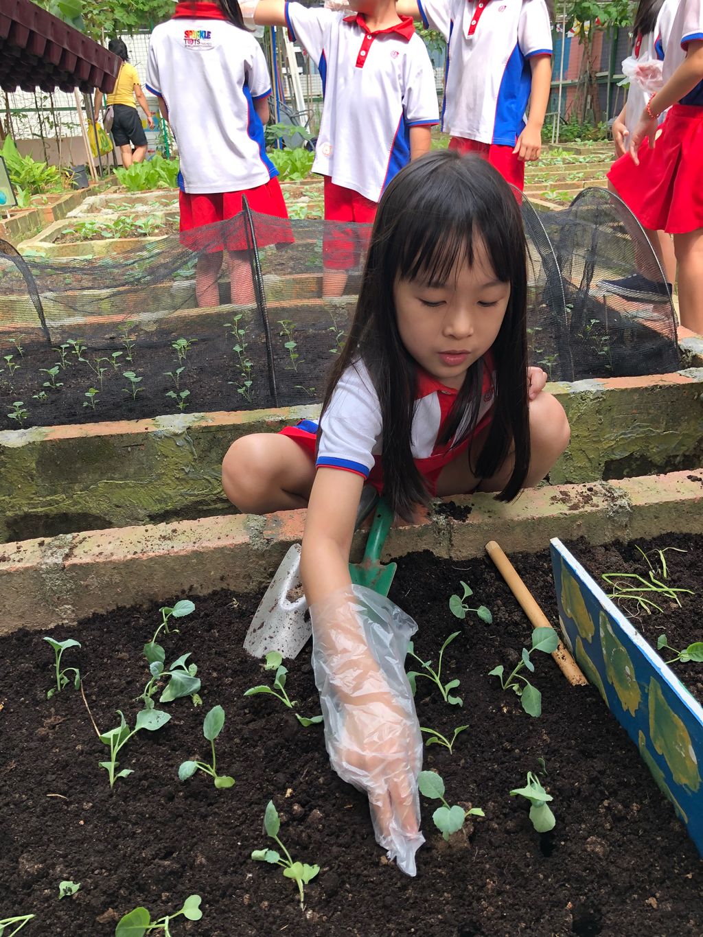 SSDB: Go Green and Save the Earth — photo 6