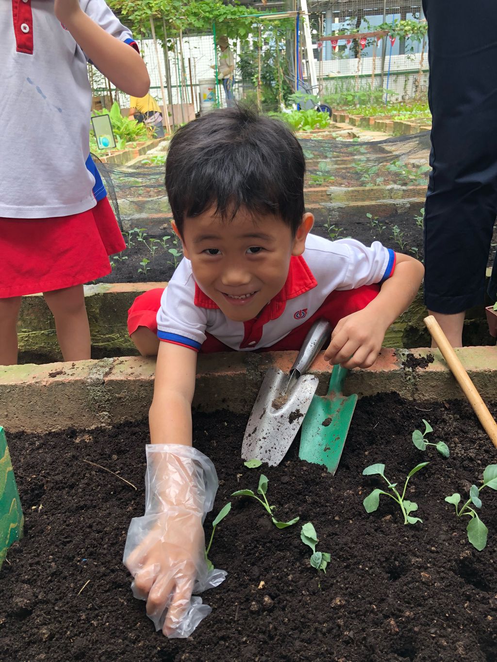 SSDB: Go Green and Save the Earth — photo 7